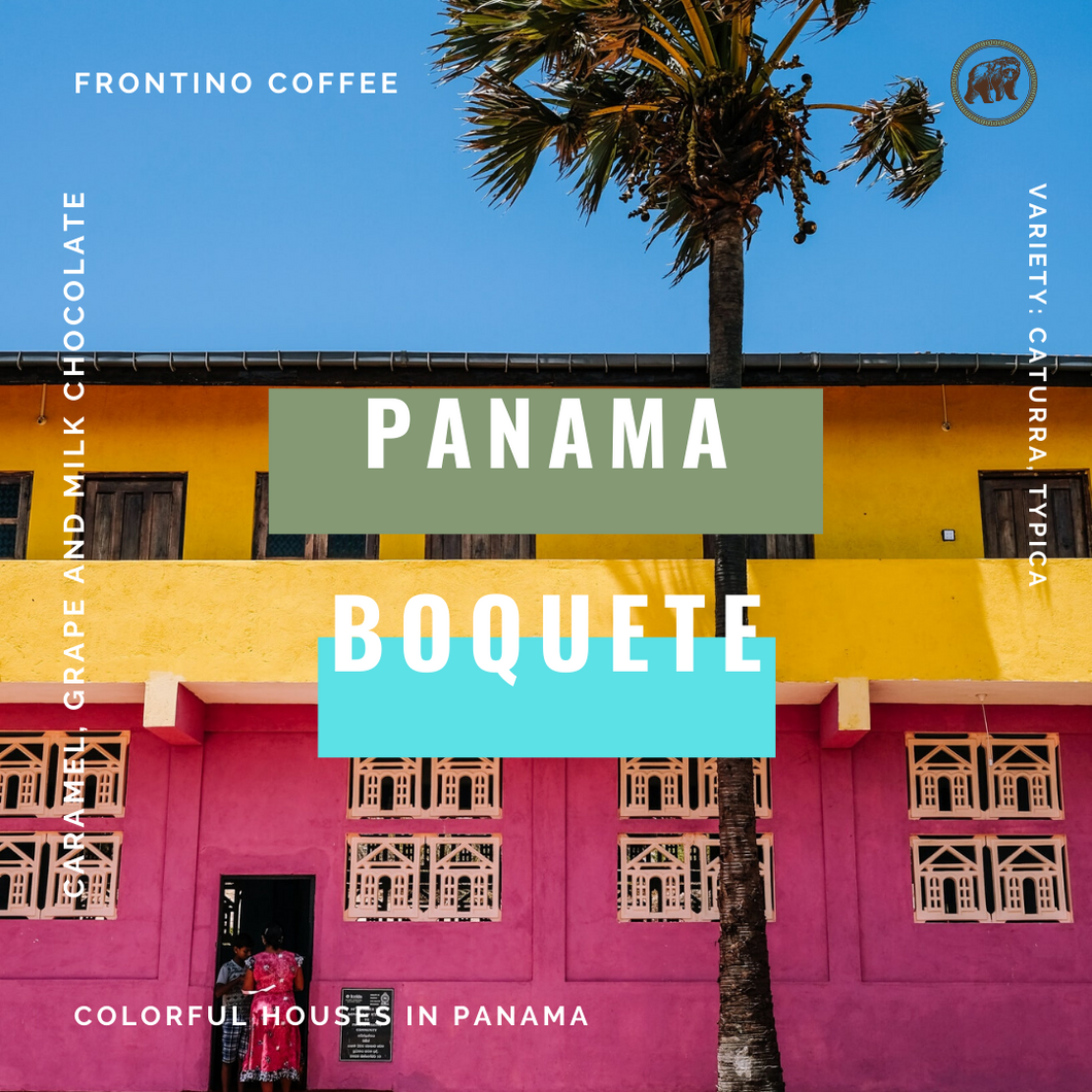 Panama Boquete - Medium Roast - Frontino Coffee